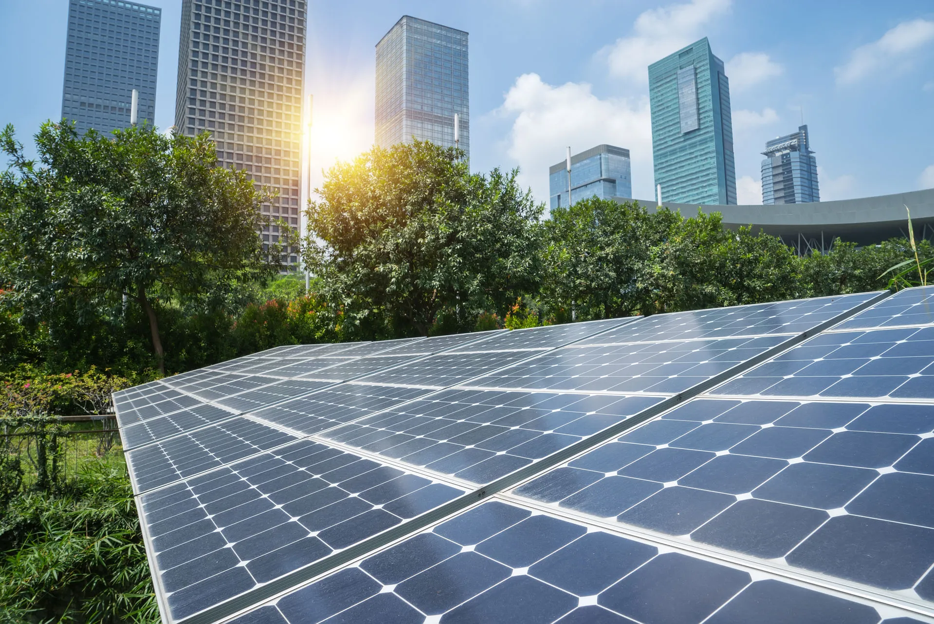 Paneles solares 