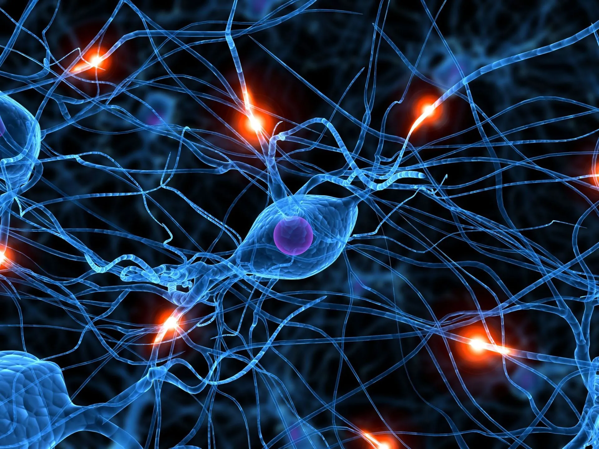 Neurociencia en los Negocios