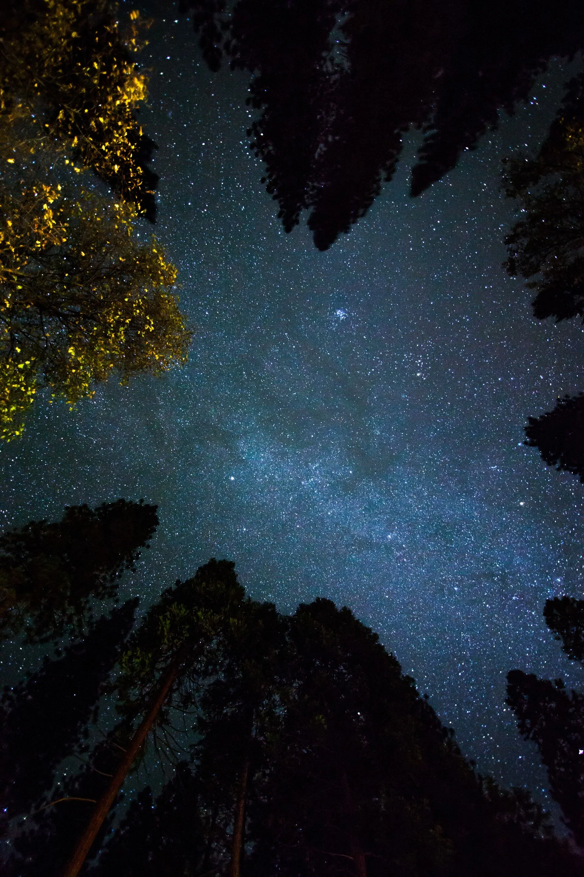 Nano satélites: propuesta aeroespacial del Tec Photo by Taylor Leopold on Unsplash