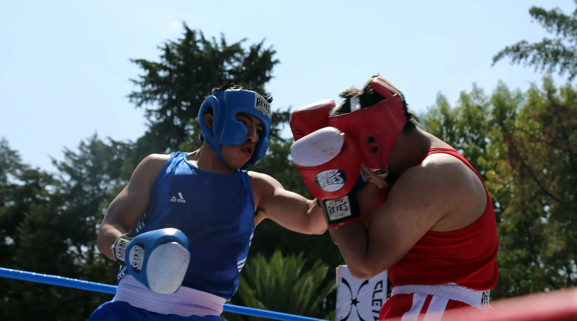 pelea de box