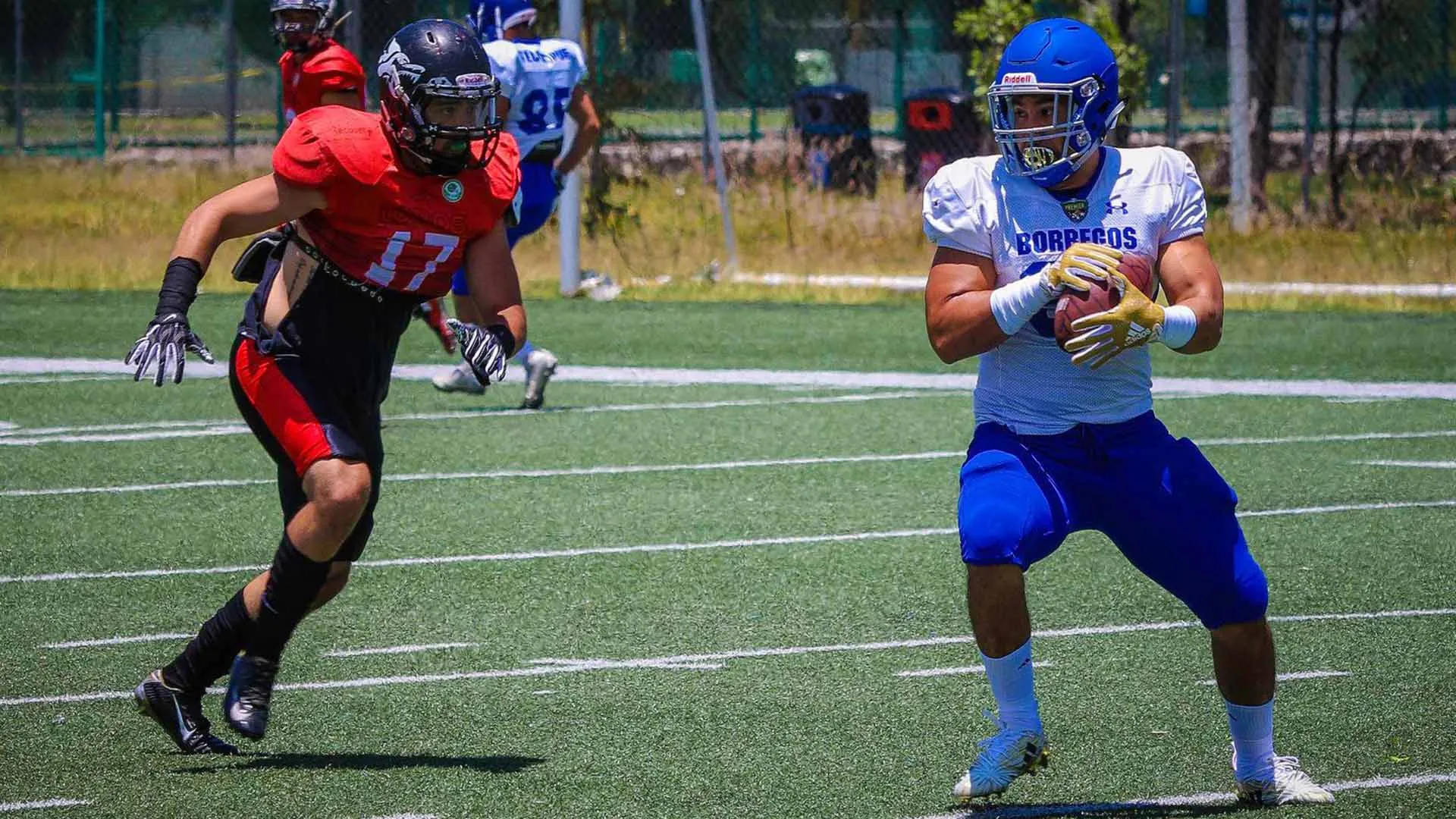 La ofensiva de Borregos Puebla va por una temporada histórica