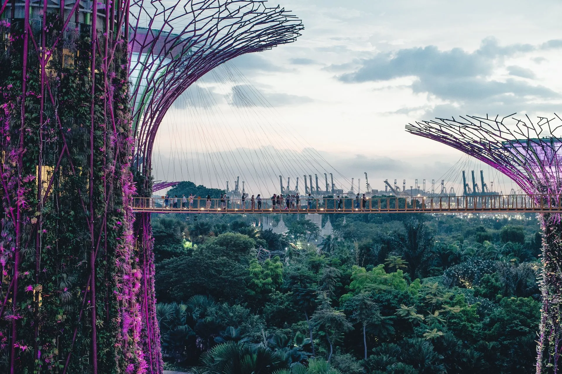 Singapur Verde NTU-Tec EIC