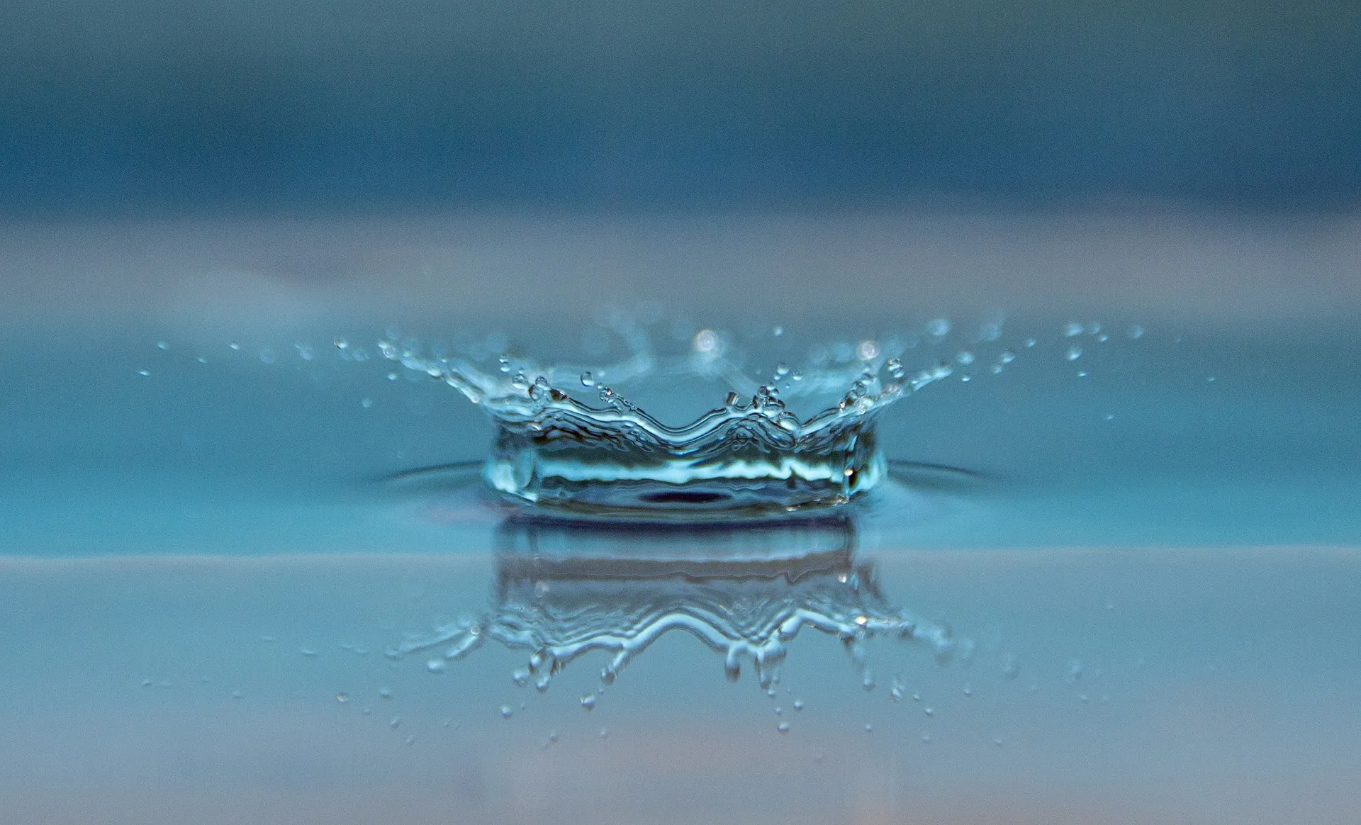 Encuentro de gestión del agua