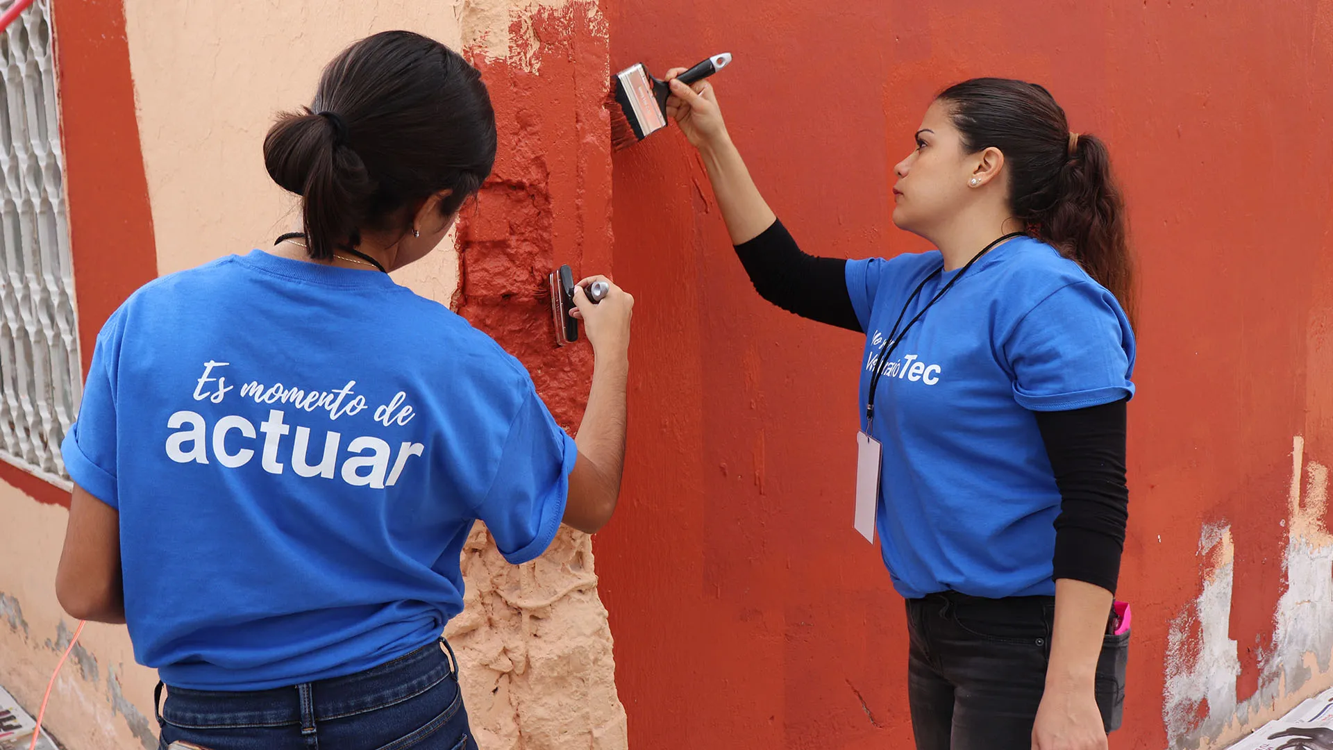 Voluntariado Laguna