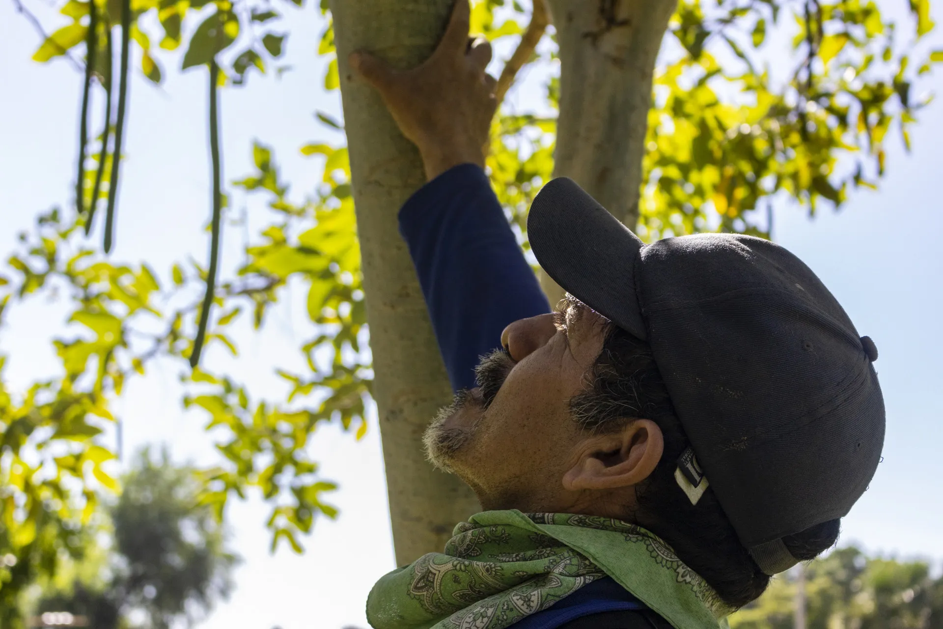 Diego a lado de un árbol 