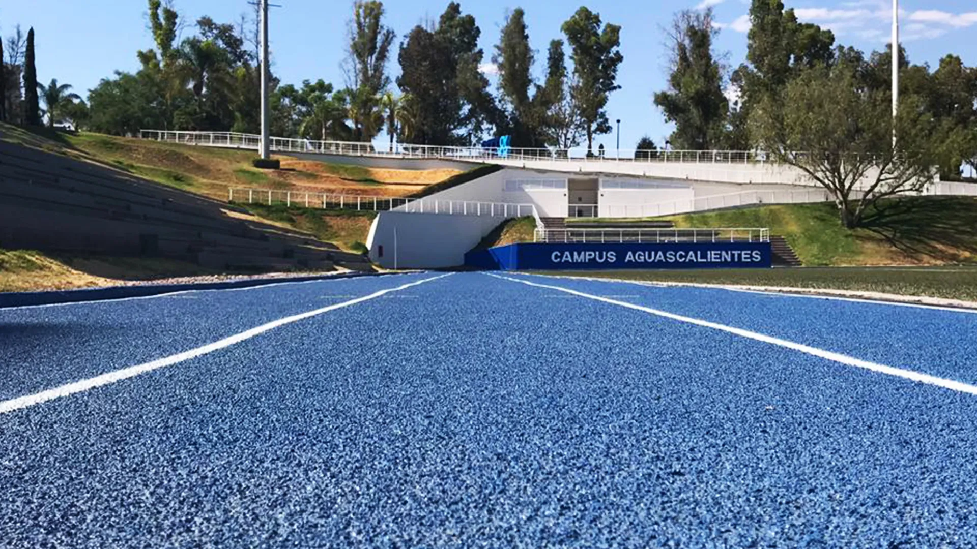 Pista AGS 