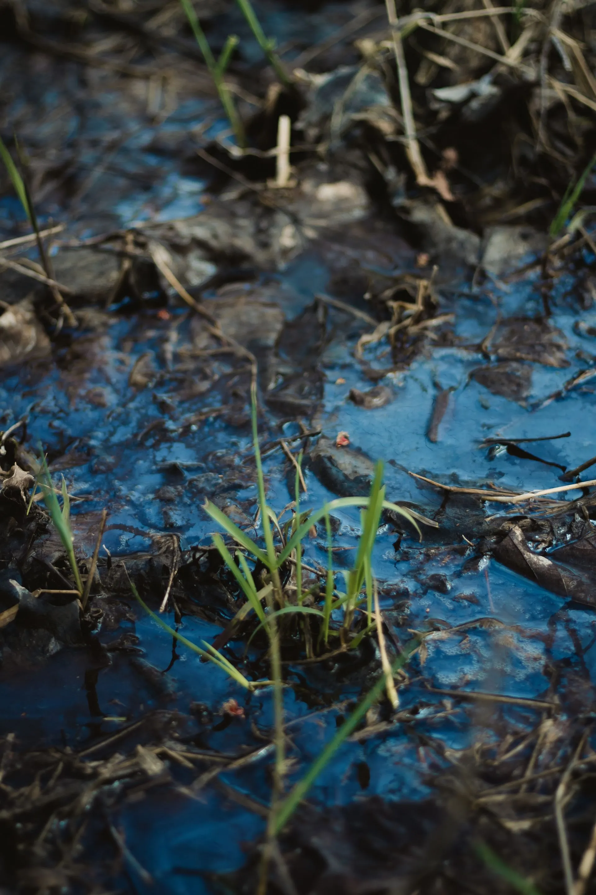 contaminación agua