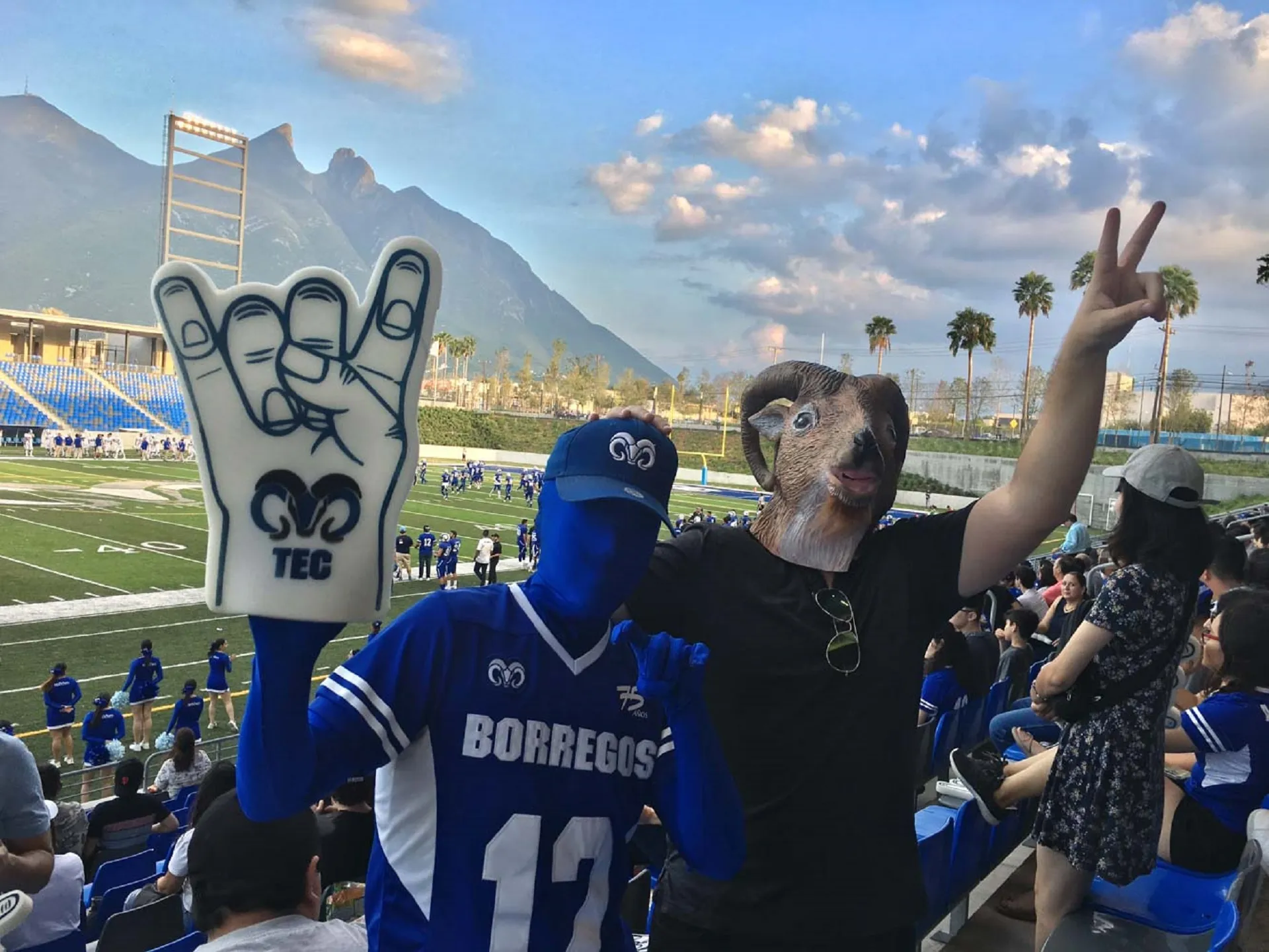 Borregos