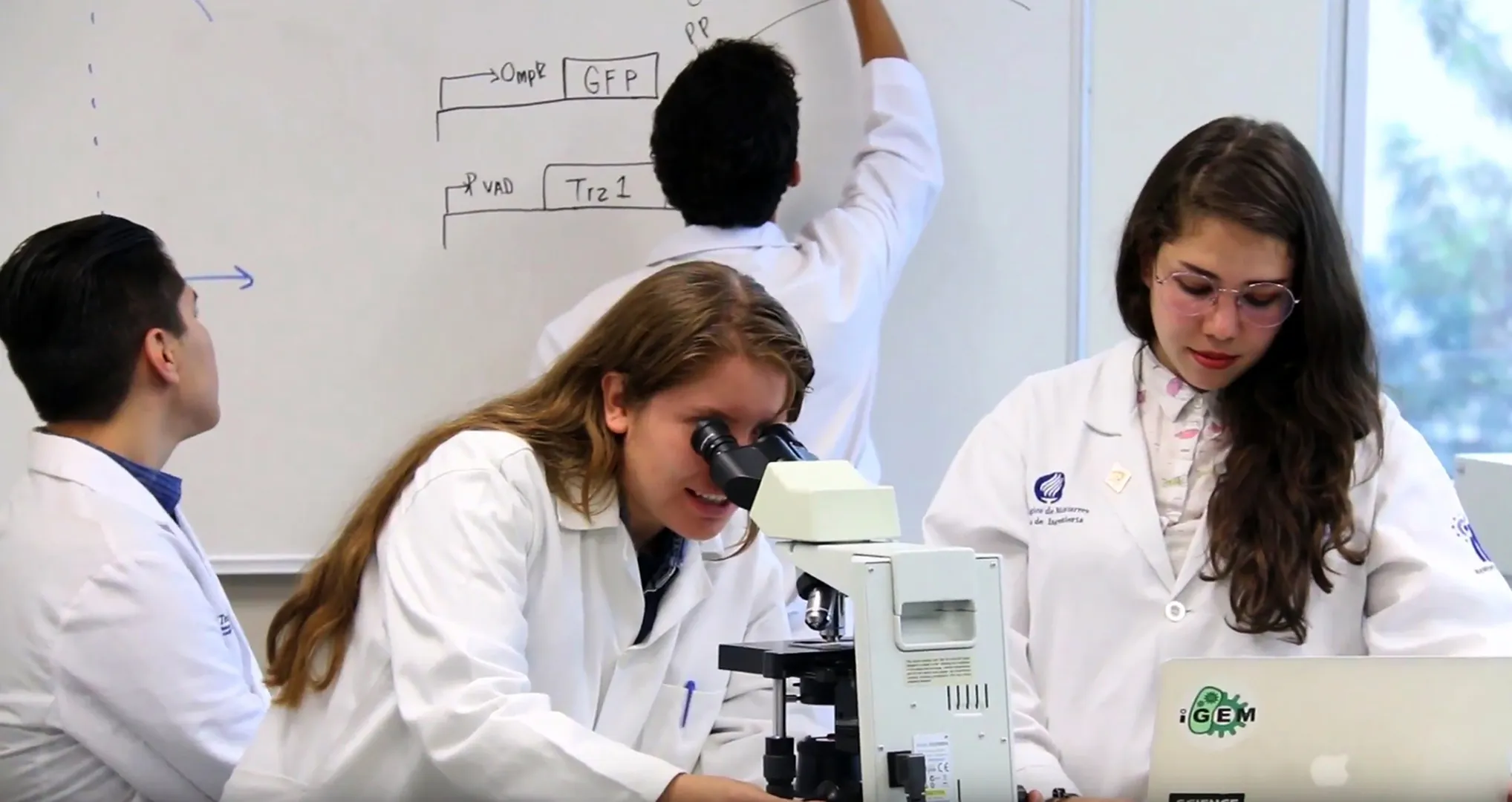 Biotinta iGEM 2019