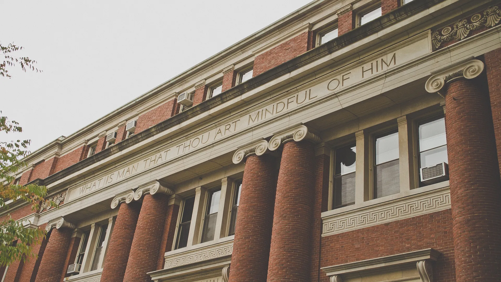 Persigue su sueño de trabajar en Harvard