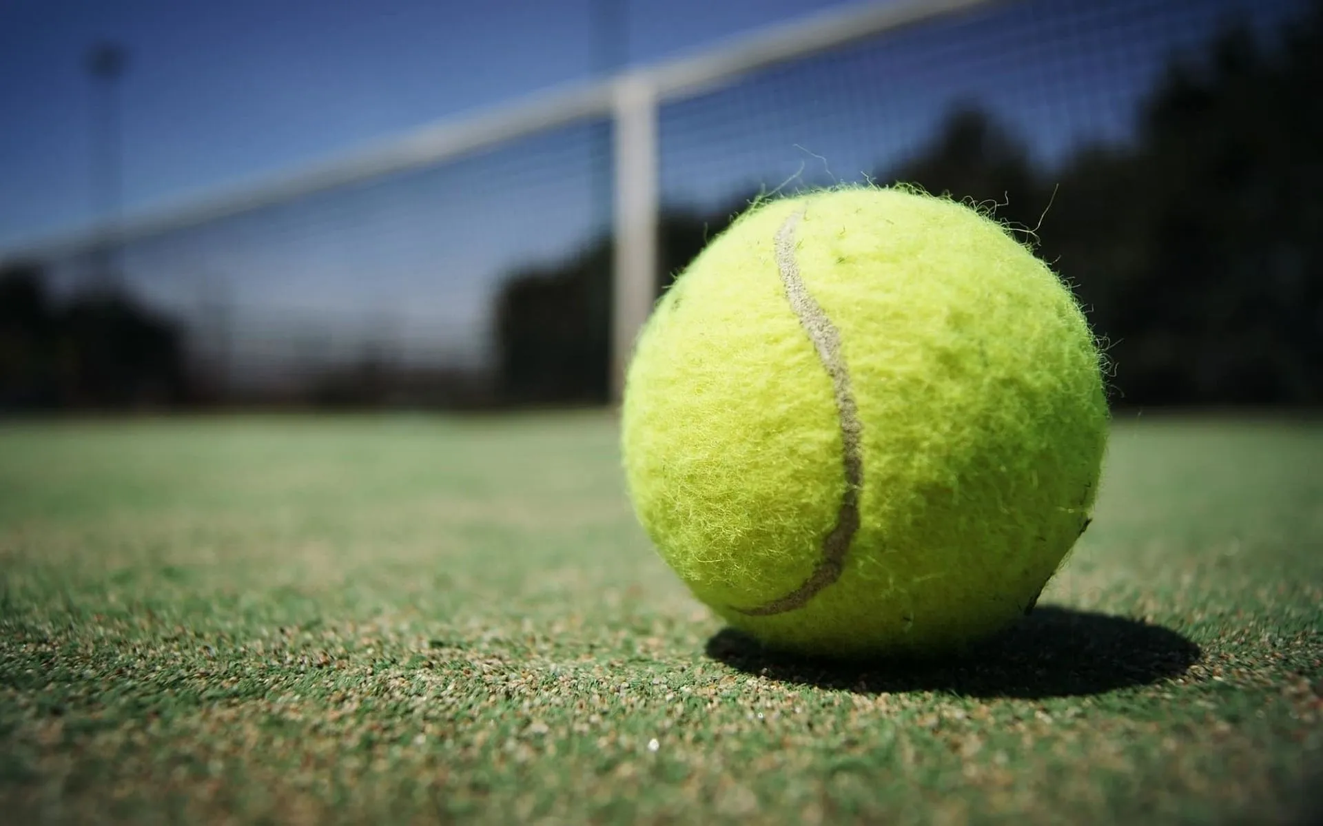 Tec Guadalajara 1er lugar tenis