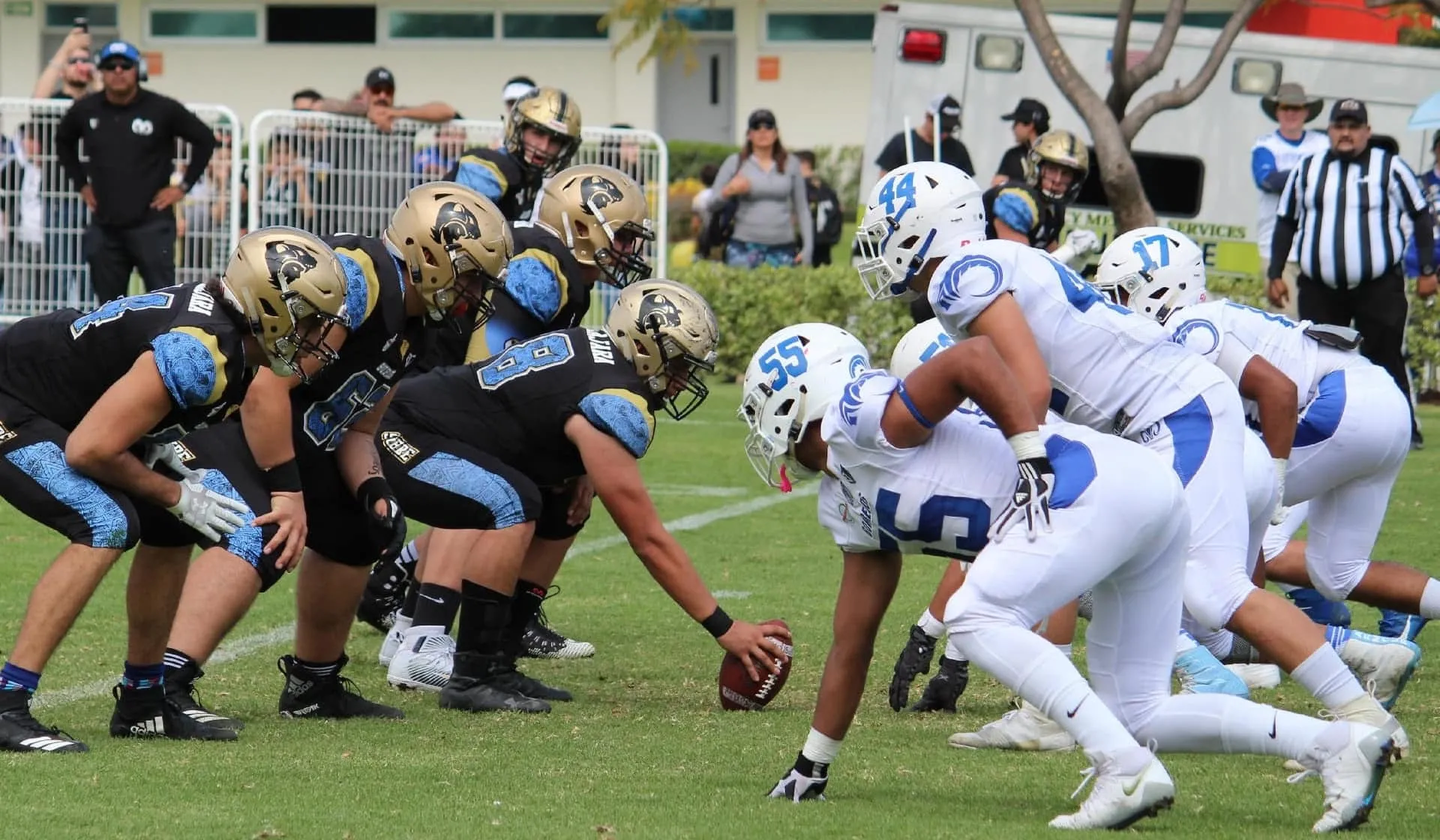 Pierde Borregos Guadalajara ante Jaguares SuBiré en segundo partido de futbol americano de la Conferencia Premier de la CONADEIP