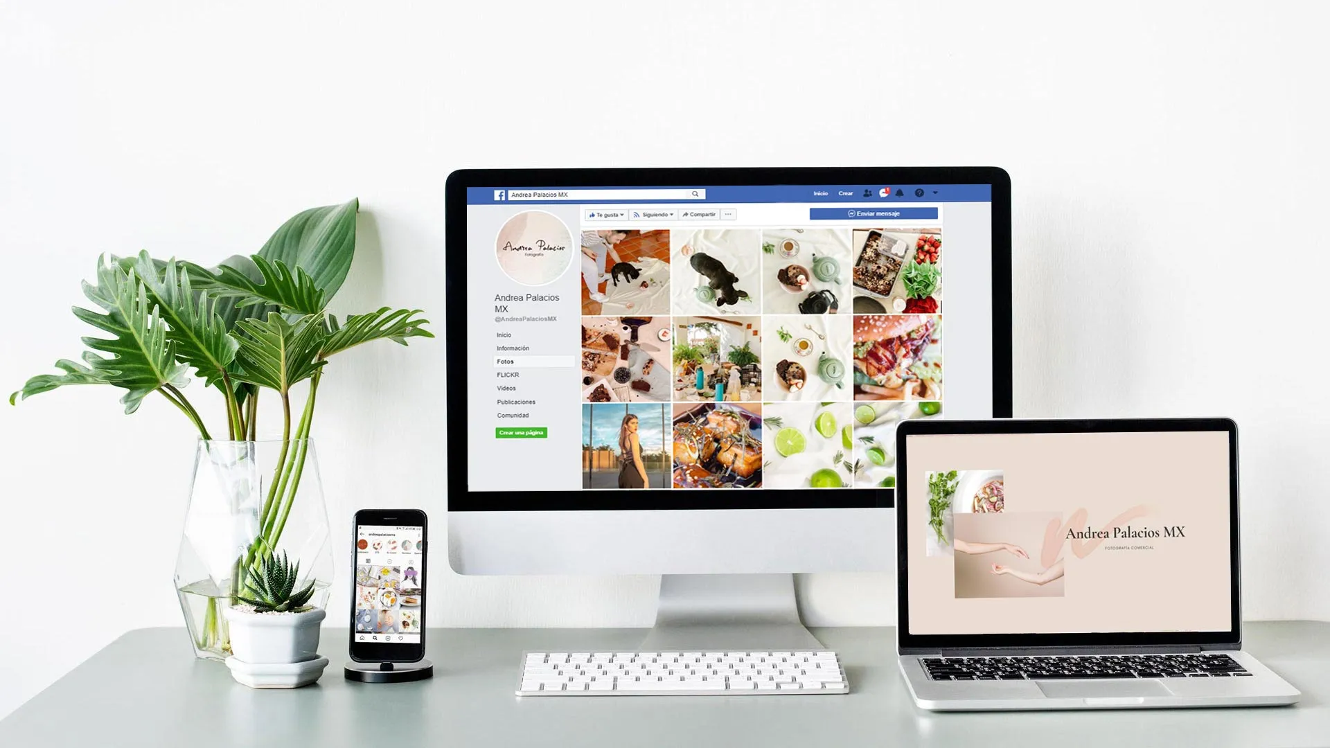 paginas de inicio de instagram y facebook de la marca Andrea Palacios Fotografia