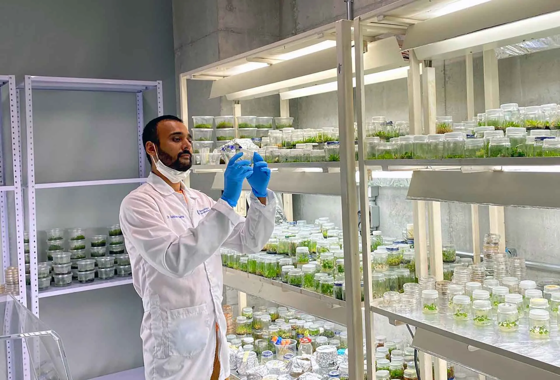 Investigador del Tec clona con éxito en universidad de Querétaro