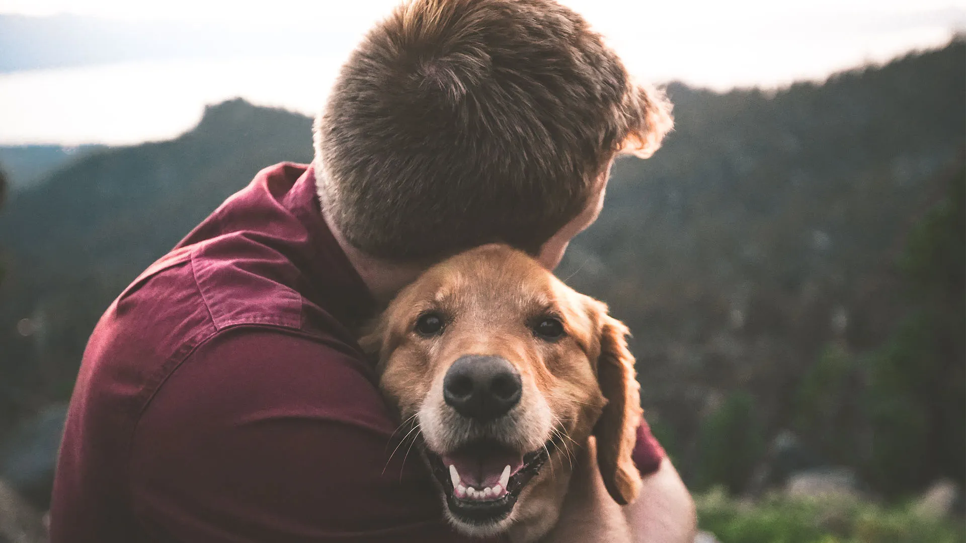 Amigos de 4 patas que te ayudan a tu estado físico y emocional