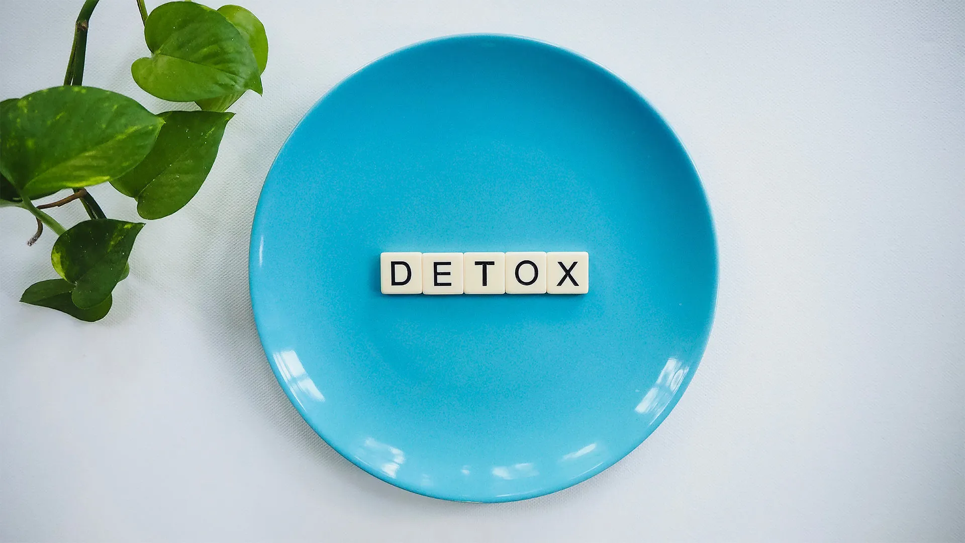 Plato azul con la palabra "detox" dentro