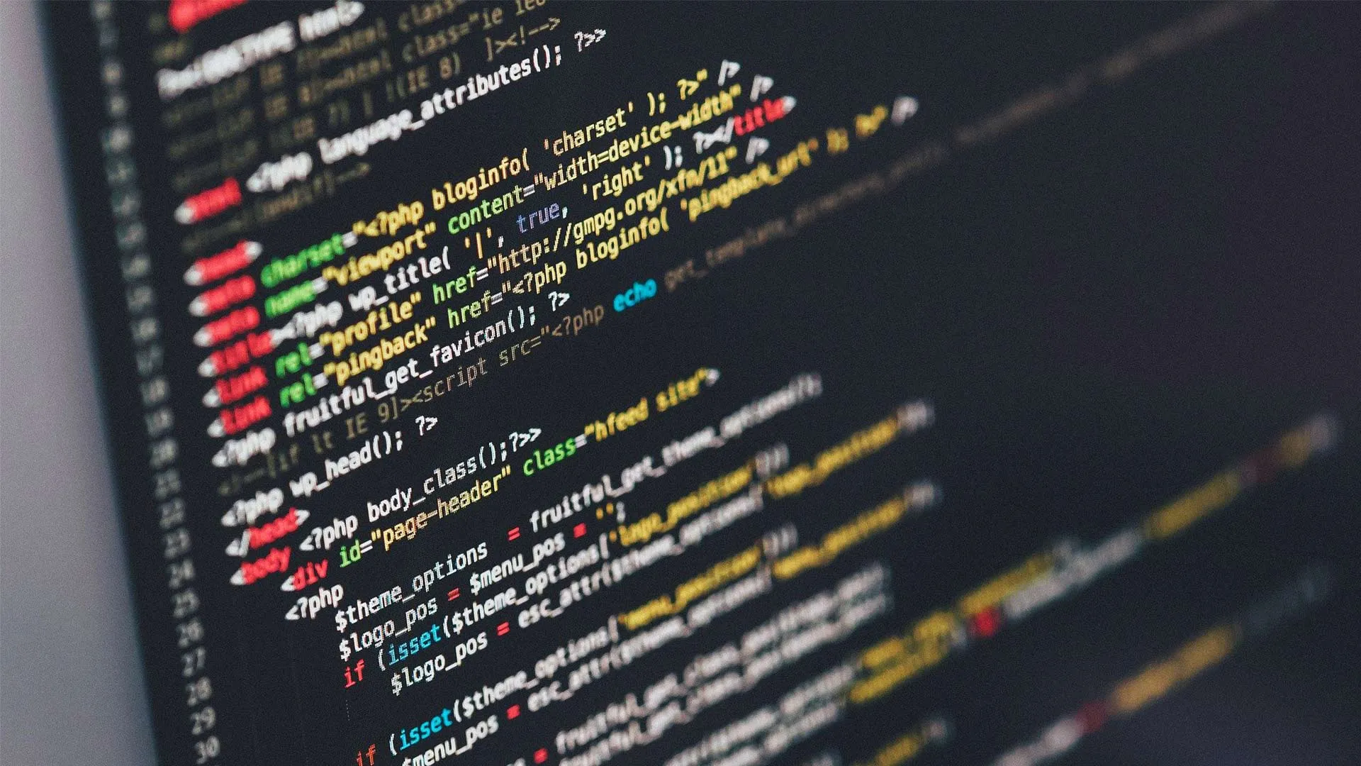 Pantalla con código para el análisis y base de datos 