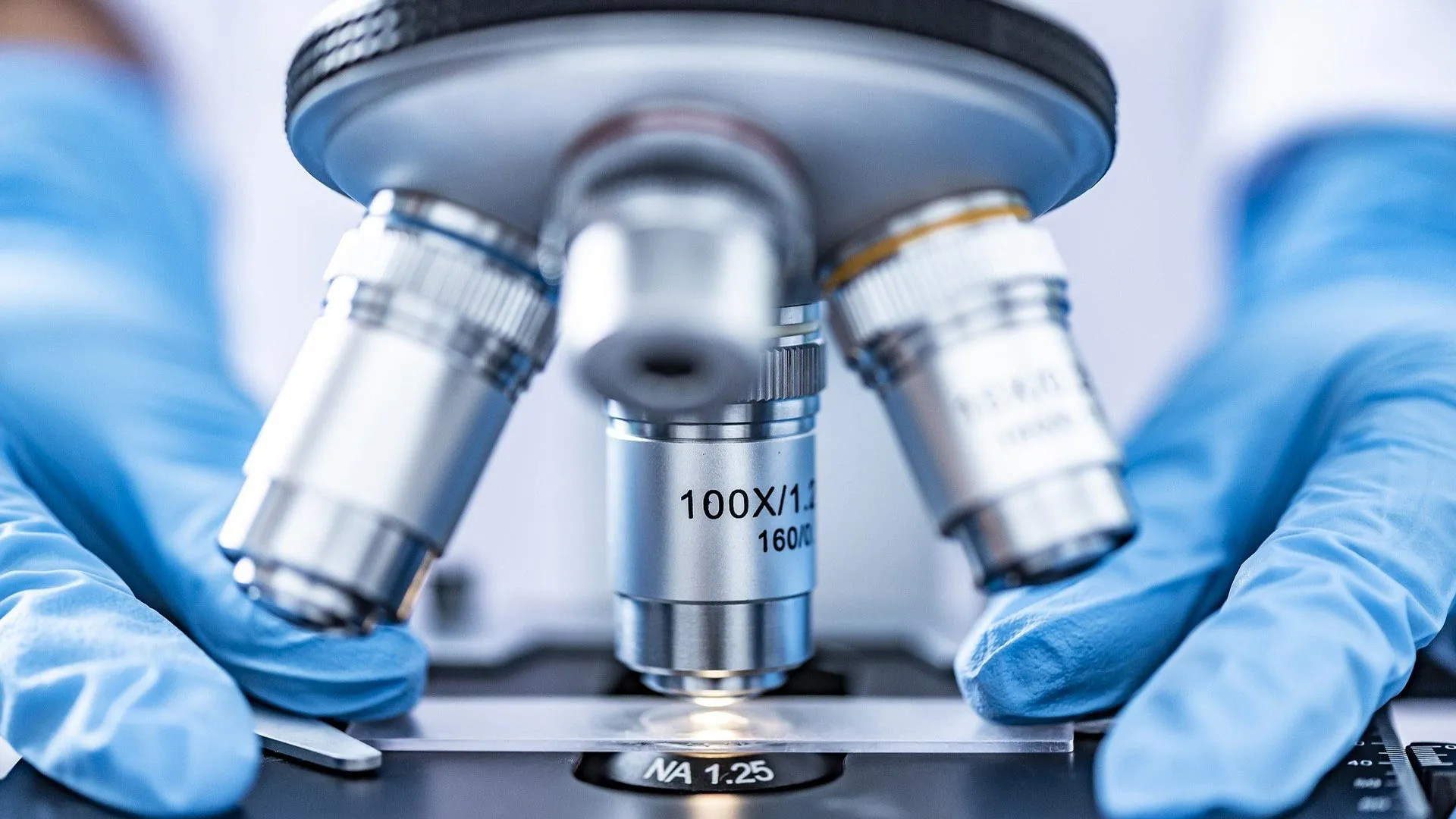 microscopio