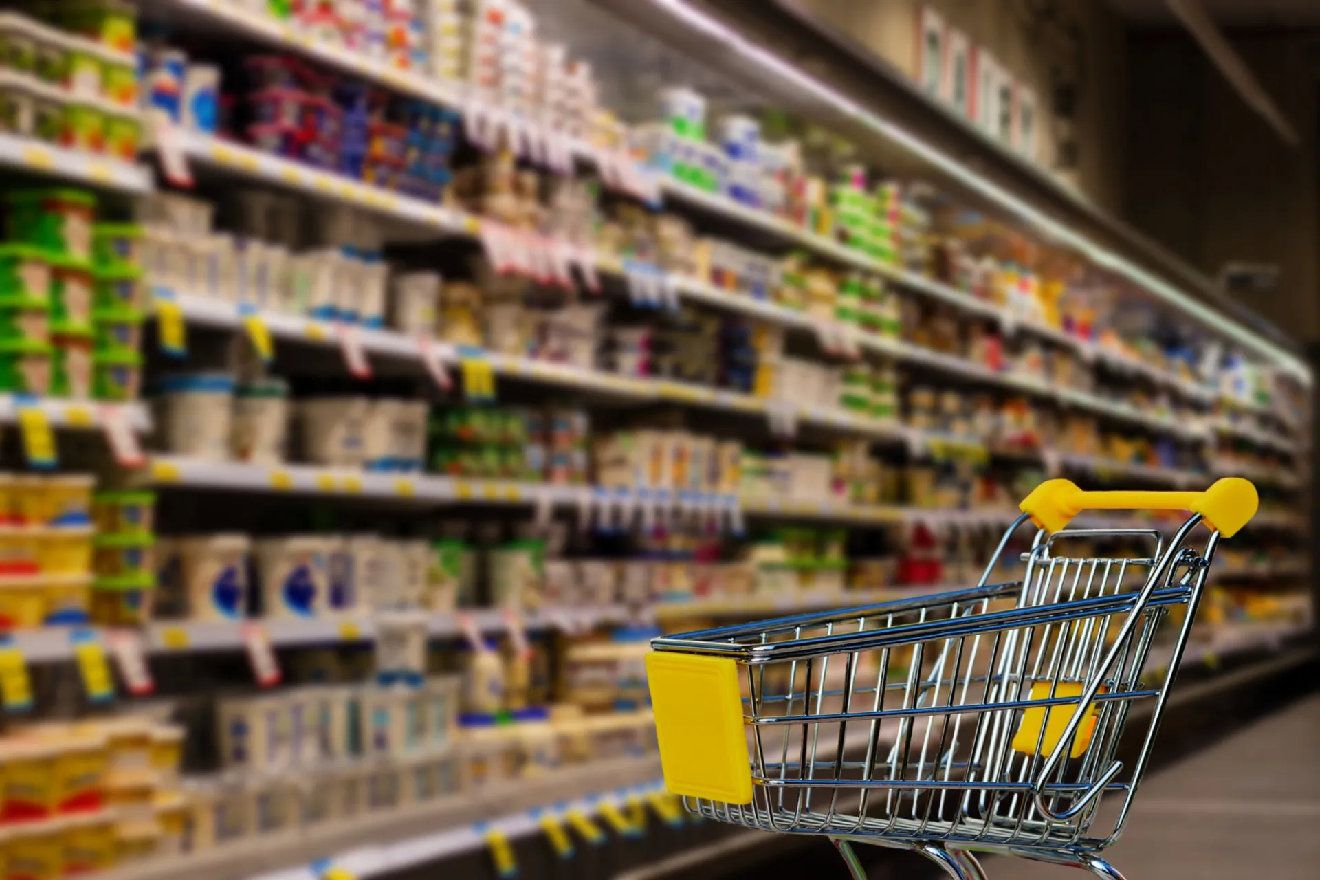 Profesor explica la nueva regulación en la industria alimentaria 