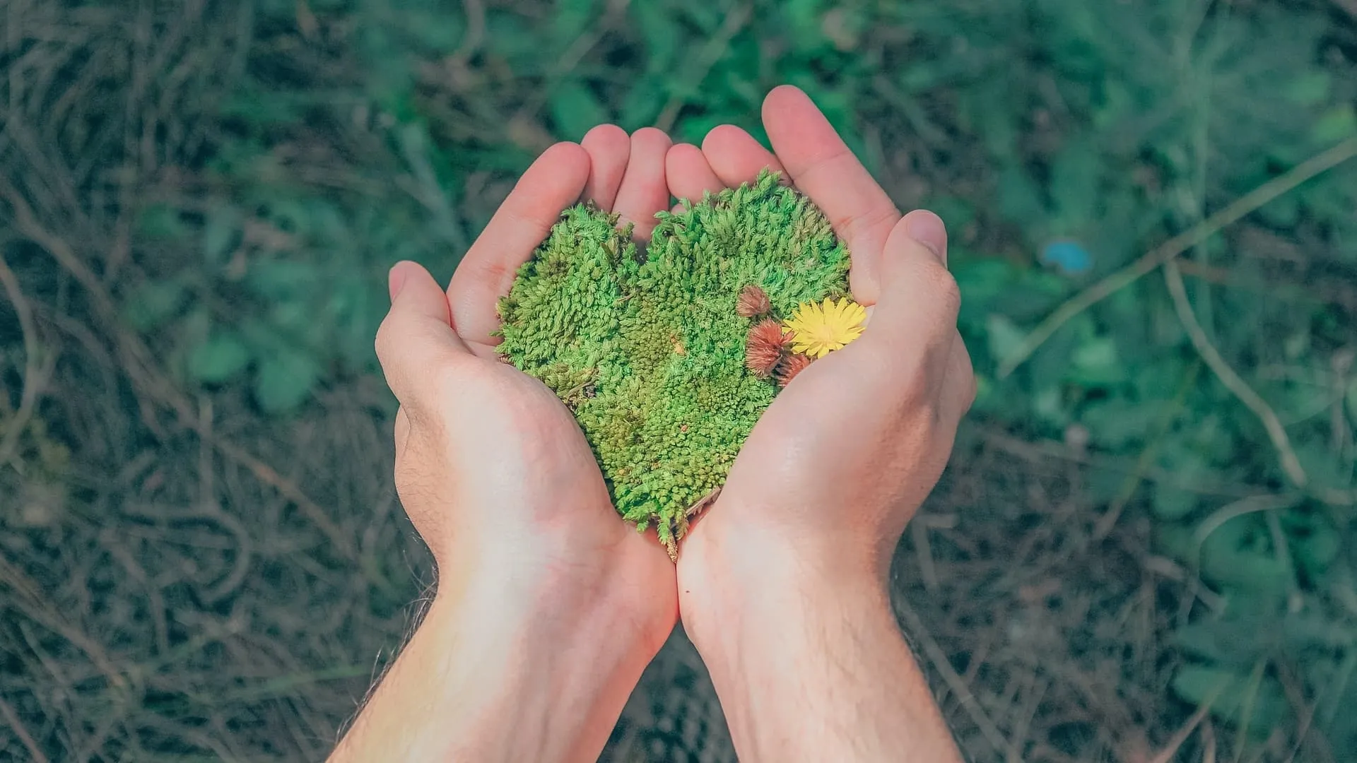 Cuidar el medio ambiente es responsabilidad de todos