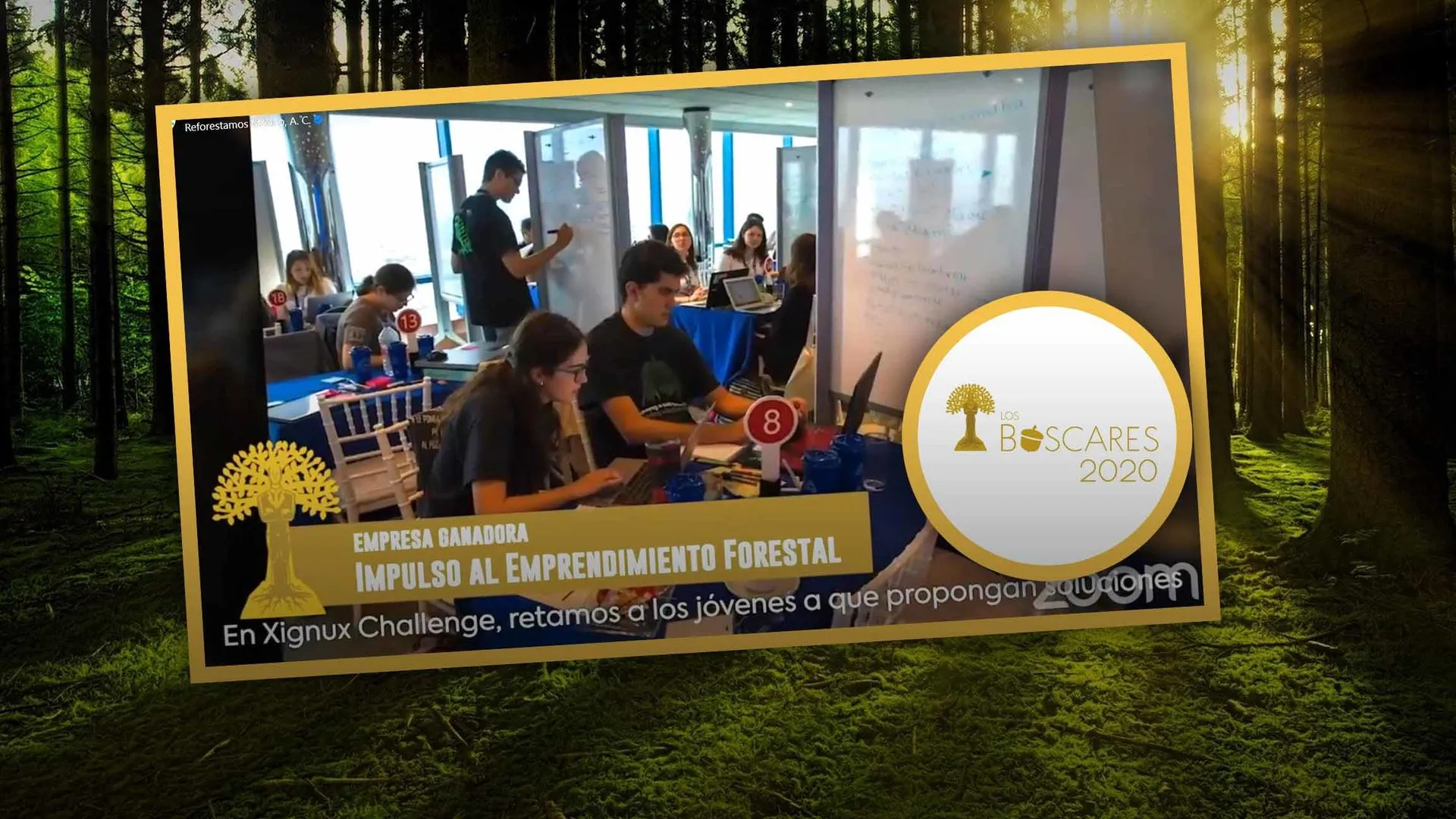 Por cuidar los bosques recibe Xignux Challenge el Bóscar 2020