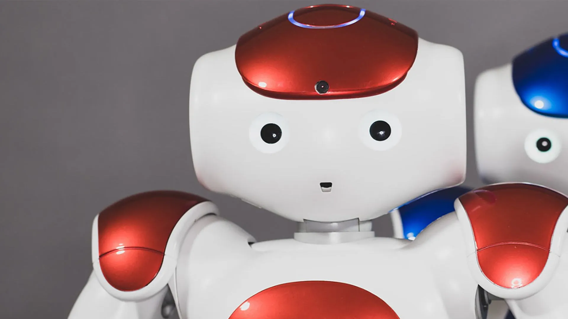 Robot Nao