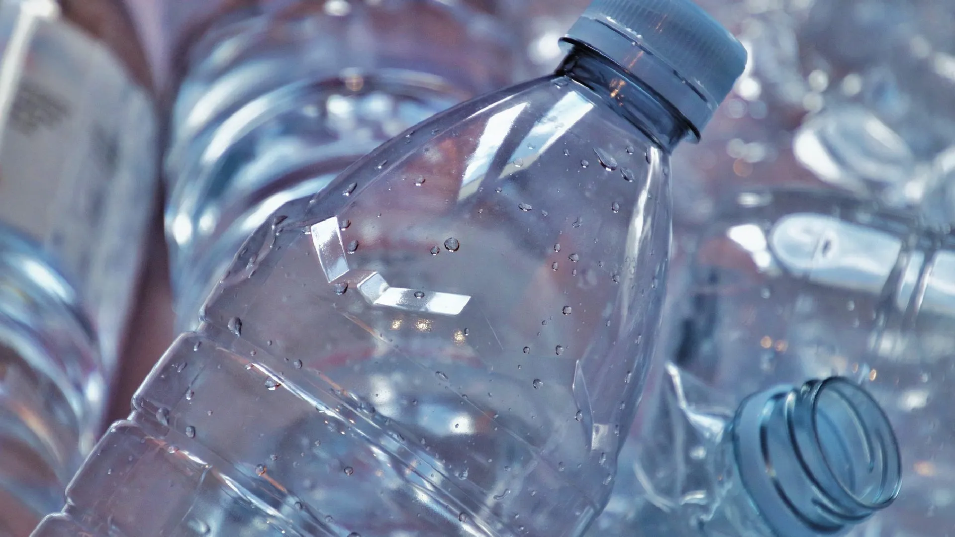 plastico maché