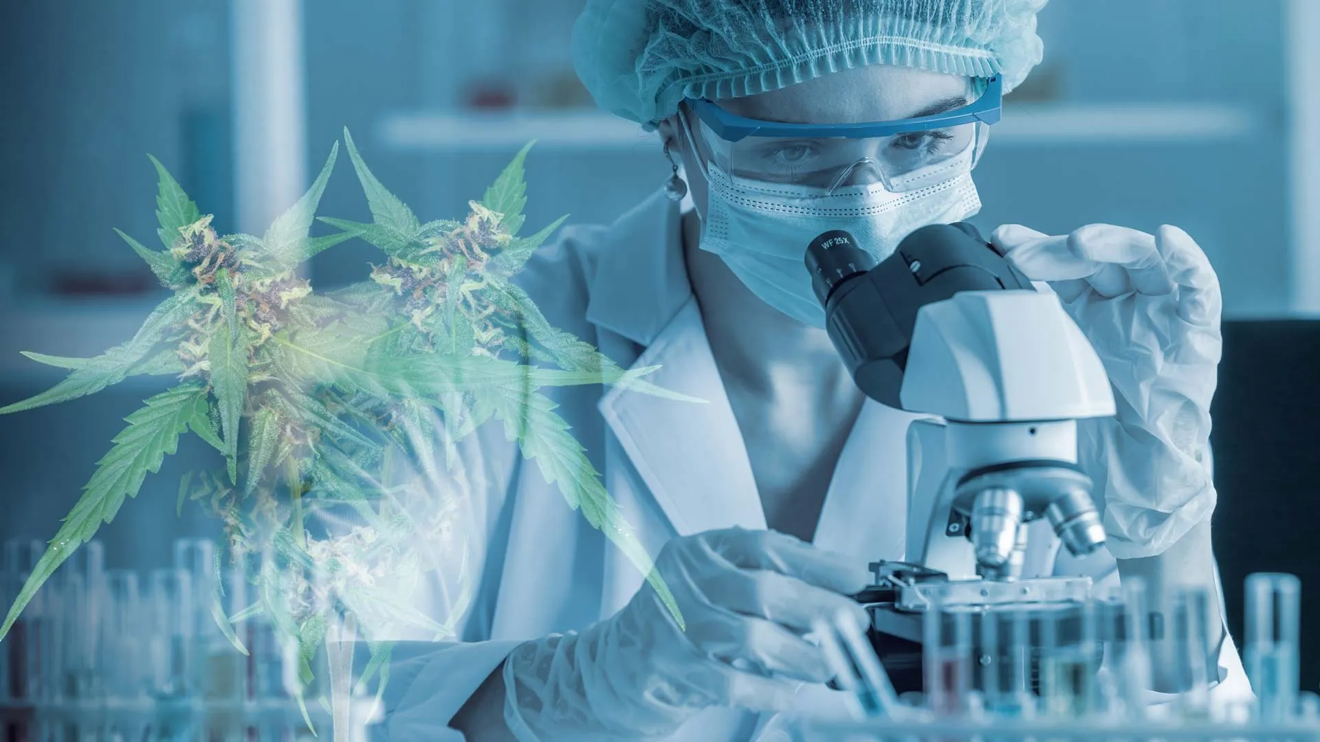 TecSalud realiza estudio con CBD para tratar secuelas COVID