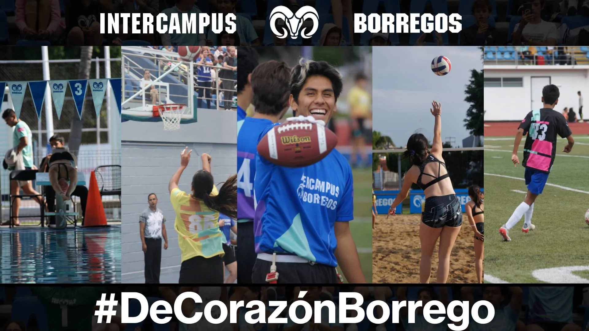 Tec Campus Querétaro fue sede del Intercampus 2022 encuentro deportivo del Tec
