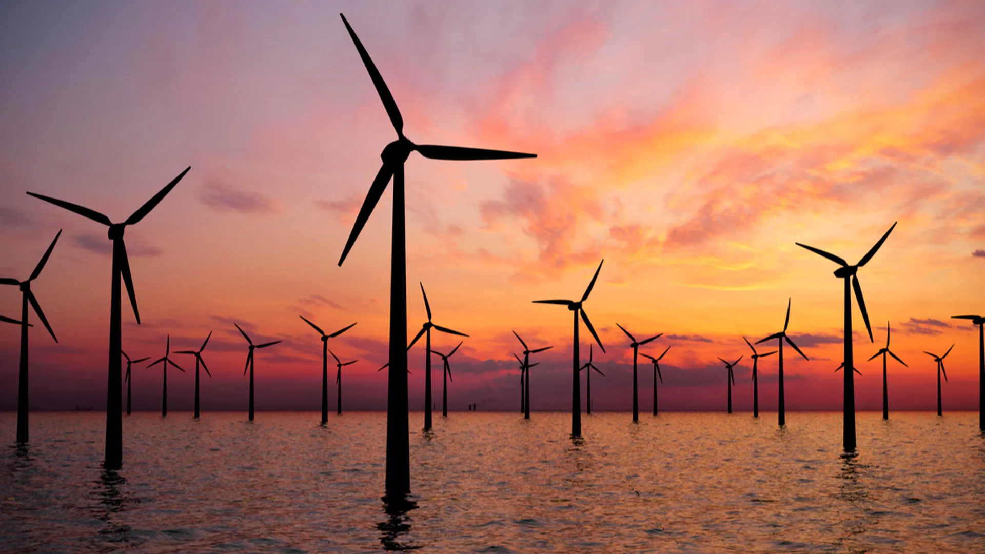 representación de proyecto de energias renovables ekiinergia