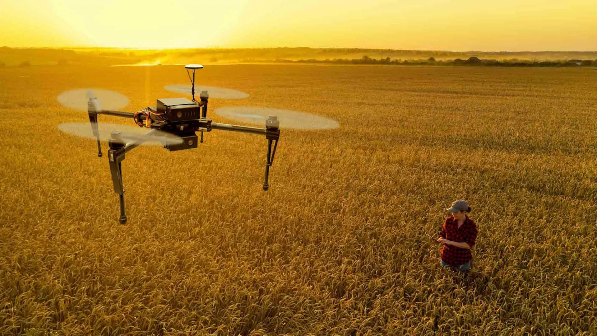 Aprendiendo a Reforestar con Drones