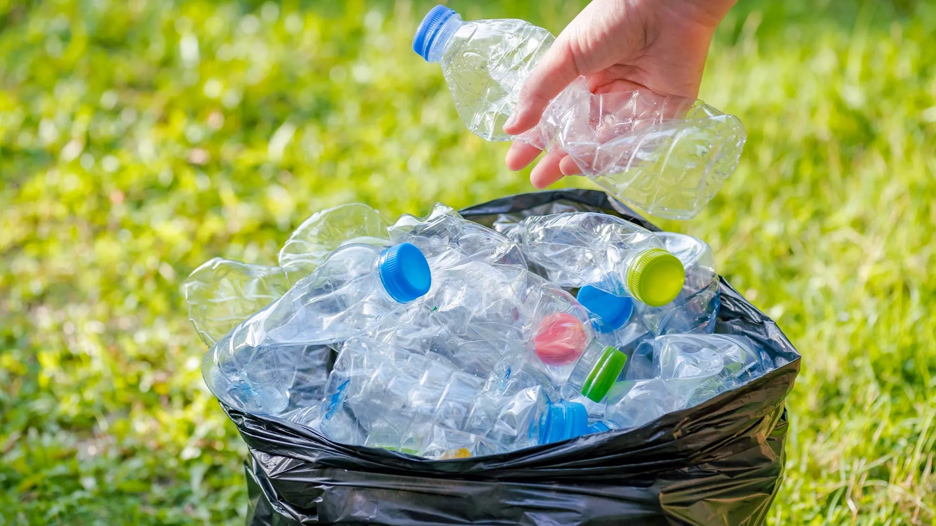 ReciclaTec iniciativa del Tec de Monterrey en campus Ciudad de México