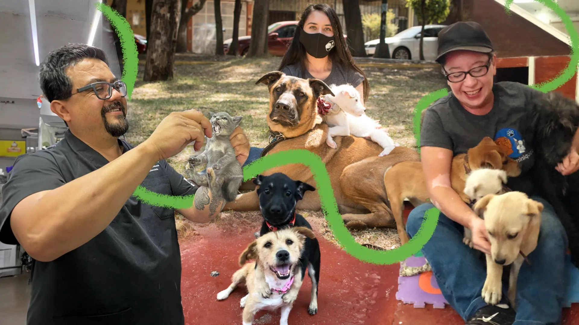 Refugio para perros y gatos de alumna del Tec