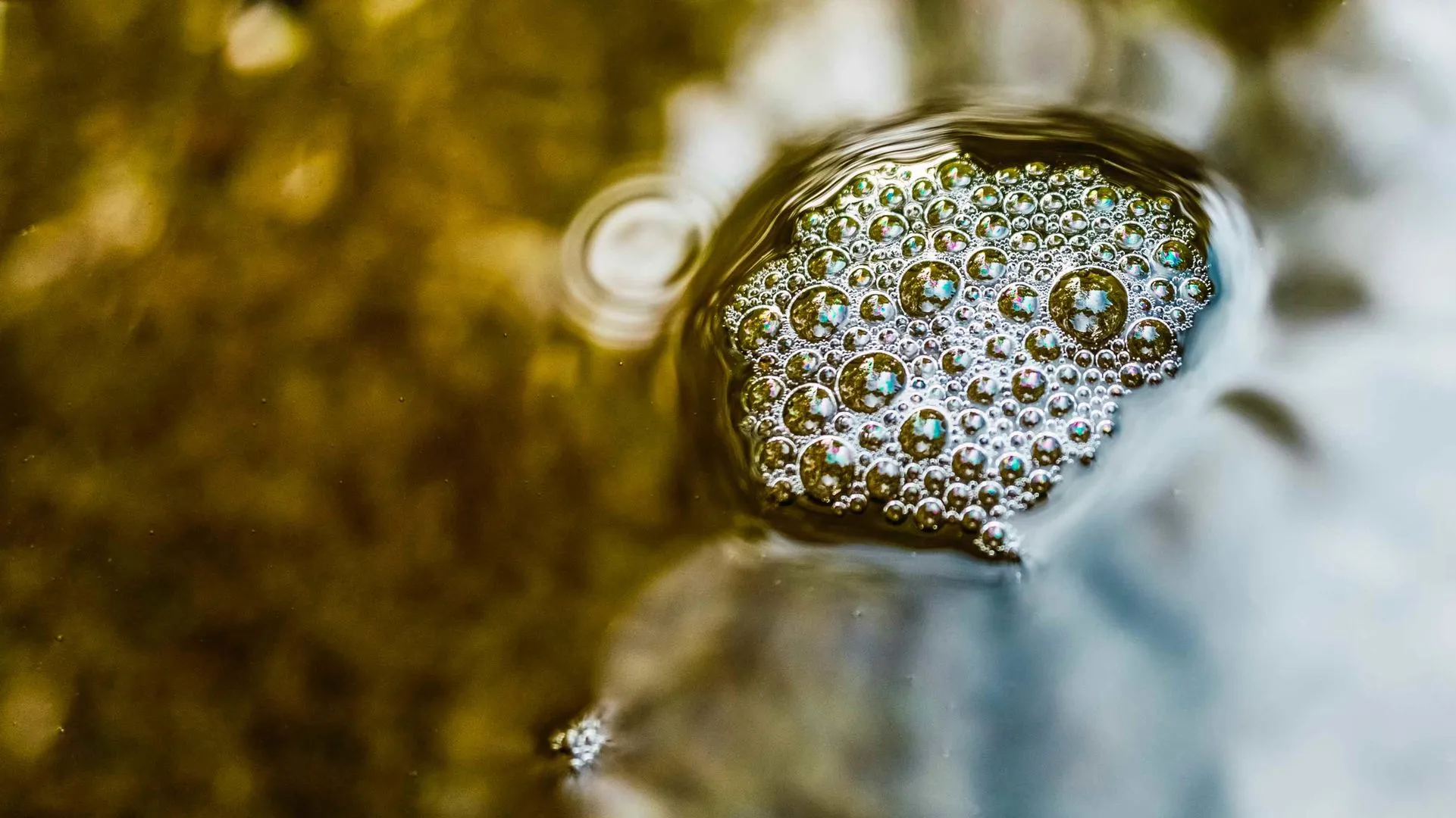 Contaminación del Agua