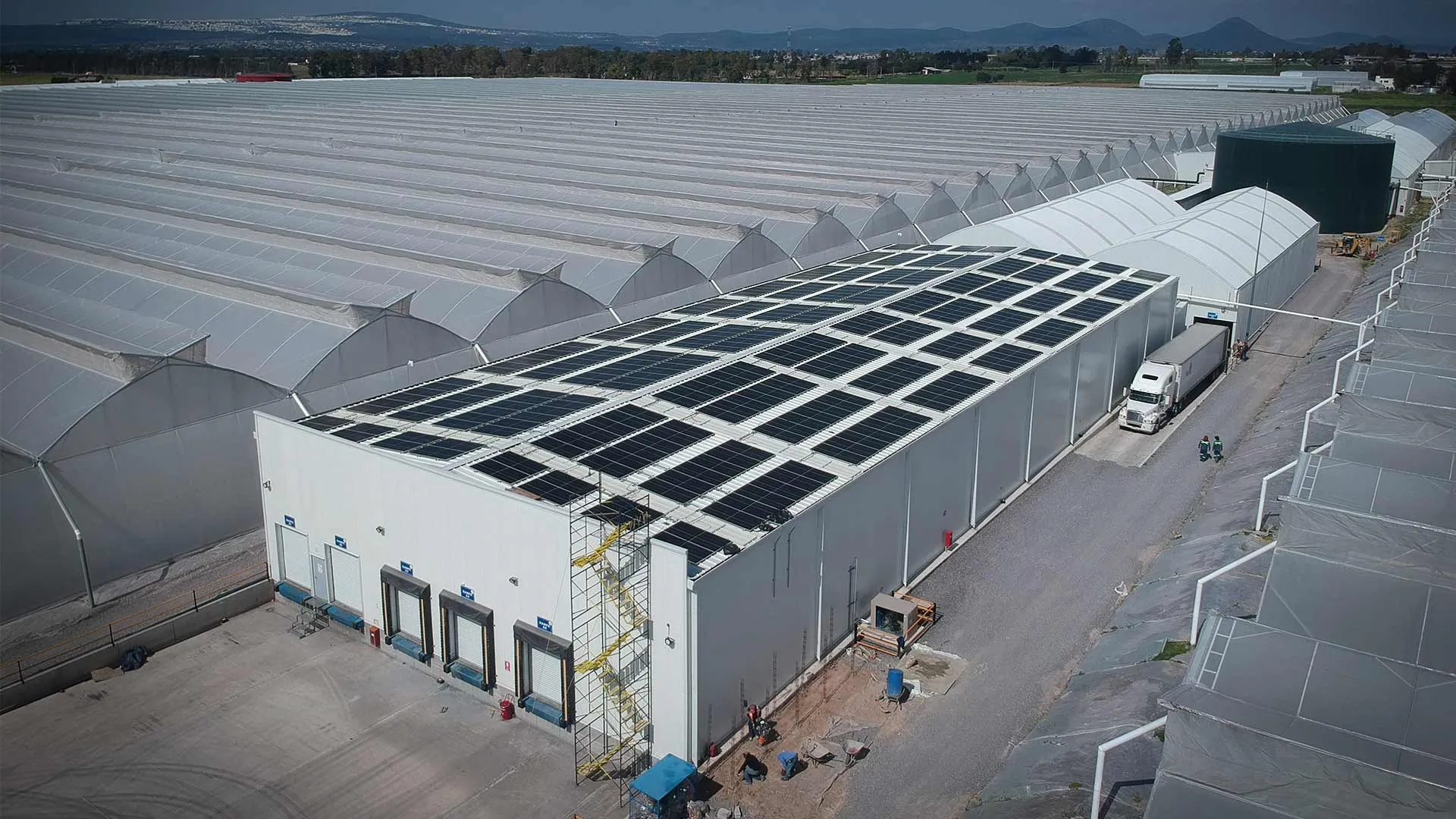 Exatec desarrolló planta energética mediante incineración de residuos