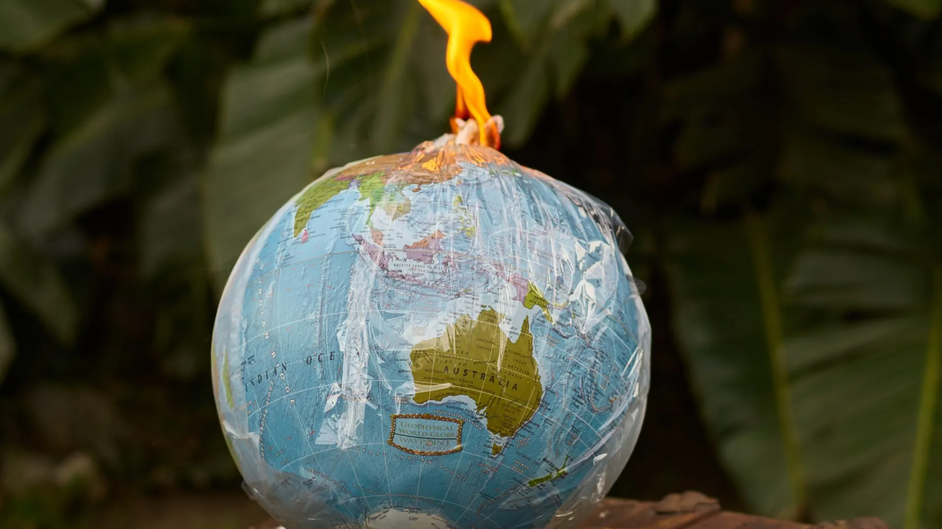 Fighting global warming: MIT recognizes Tec graduate for CO2 capture