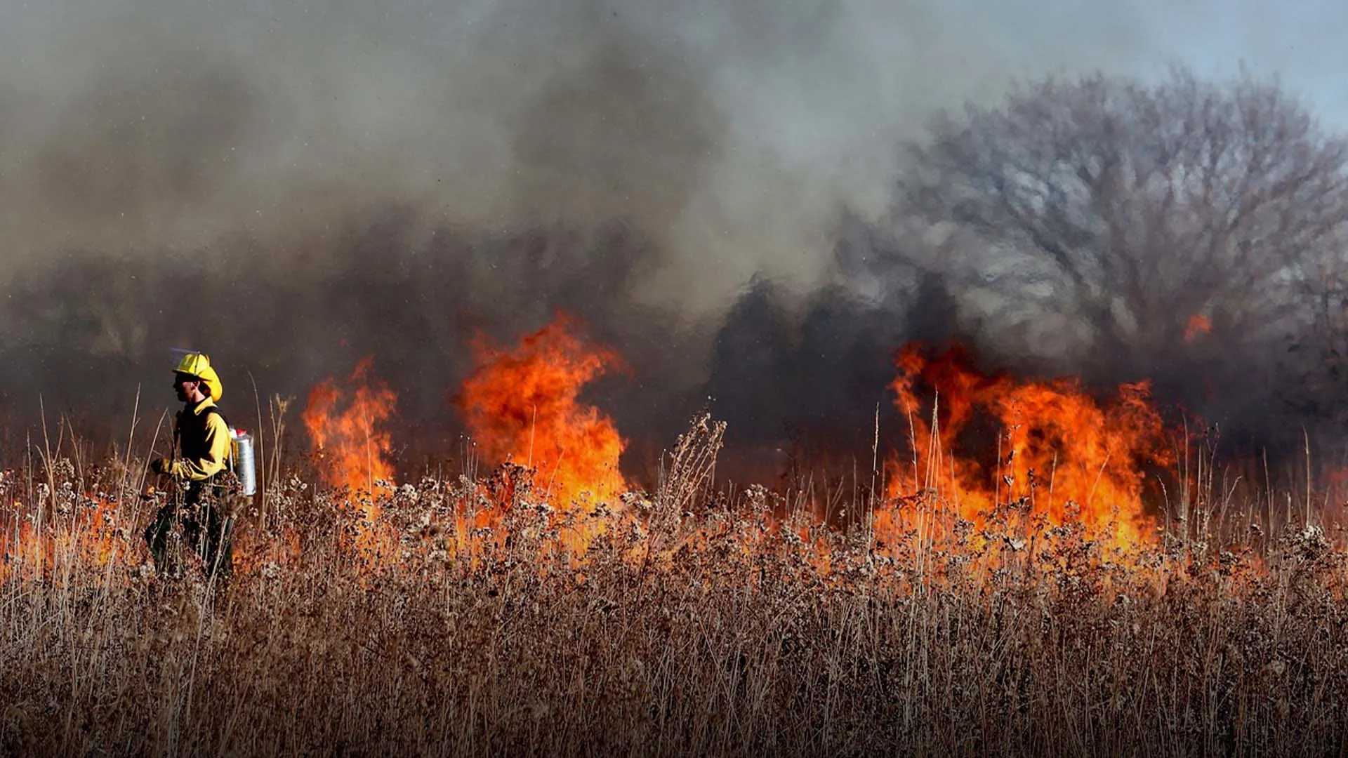 Bombero frente a incendio forestal