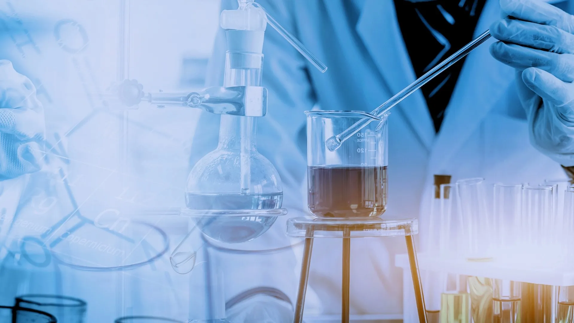 hidalguense-consejos-tips-lider-steam-ingieneria-ciencia-matematicas-tecologia-katia-lozano.jpg