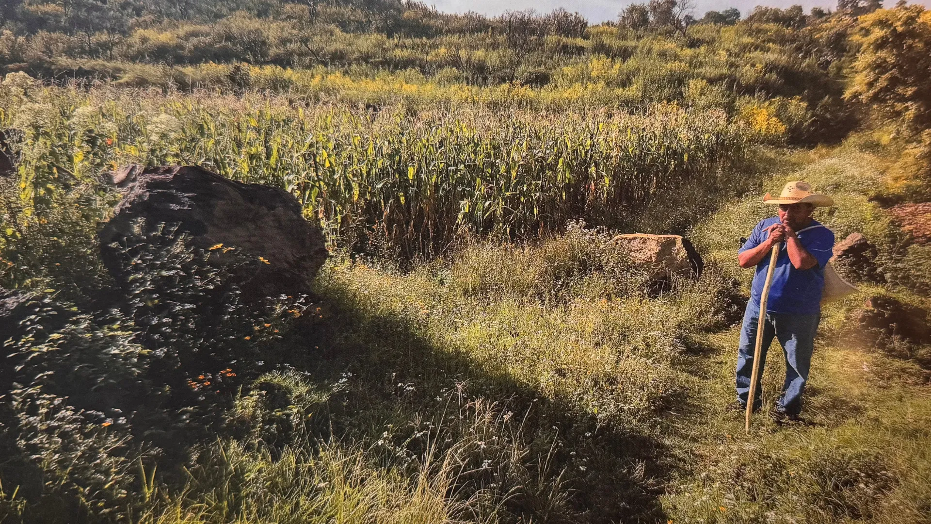 EXATEC crea documental de Xochimilco