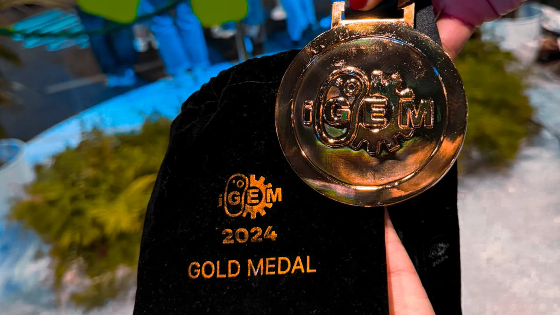 Oro por sexta ocasión para Chihuahua en biología sintética: iGEM 2024