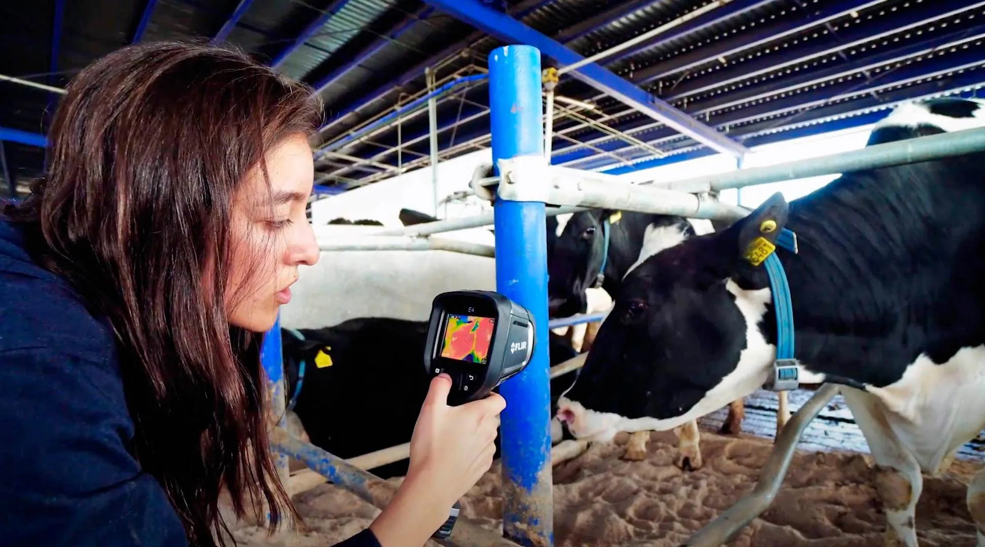 Profesores y estudiantes coordinan proyectos de tecnología sustentable en establo del CAETEC