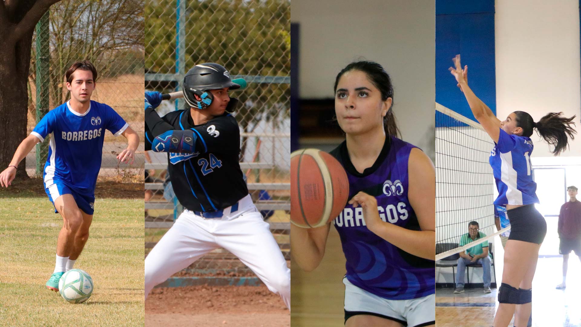 Concluye competencia deportiva: Copa Borregos 2025 en PrepaTec Ciudad Obregón
