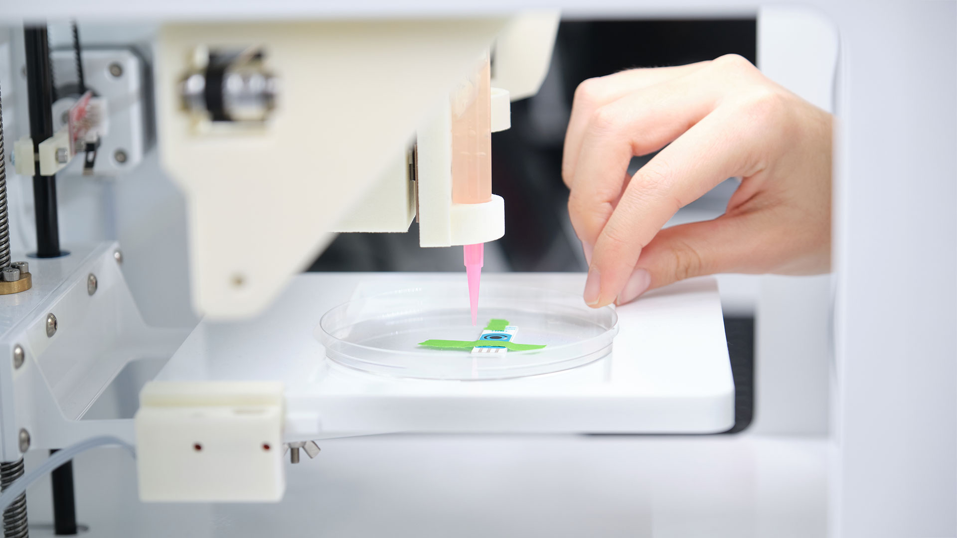 Investigador preparando bioimpresora para imprimir células en 3D 
