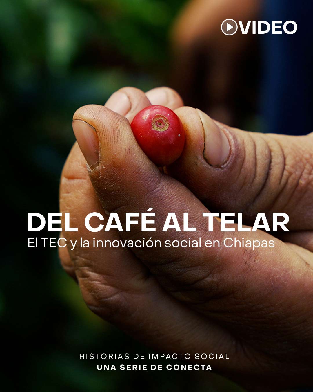 Innovación social en Chiapas