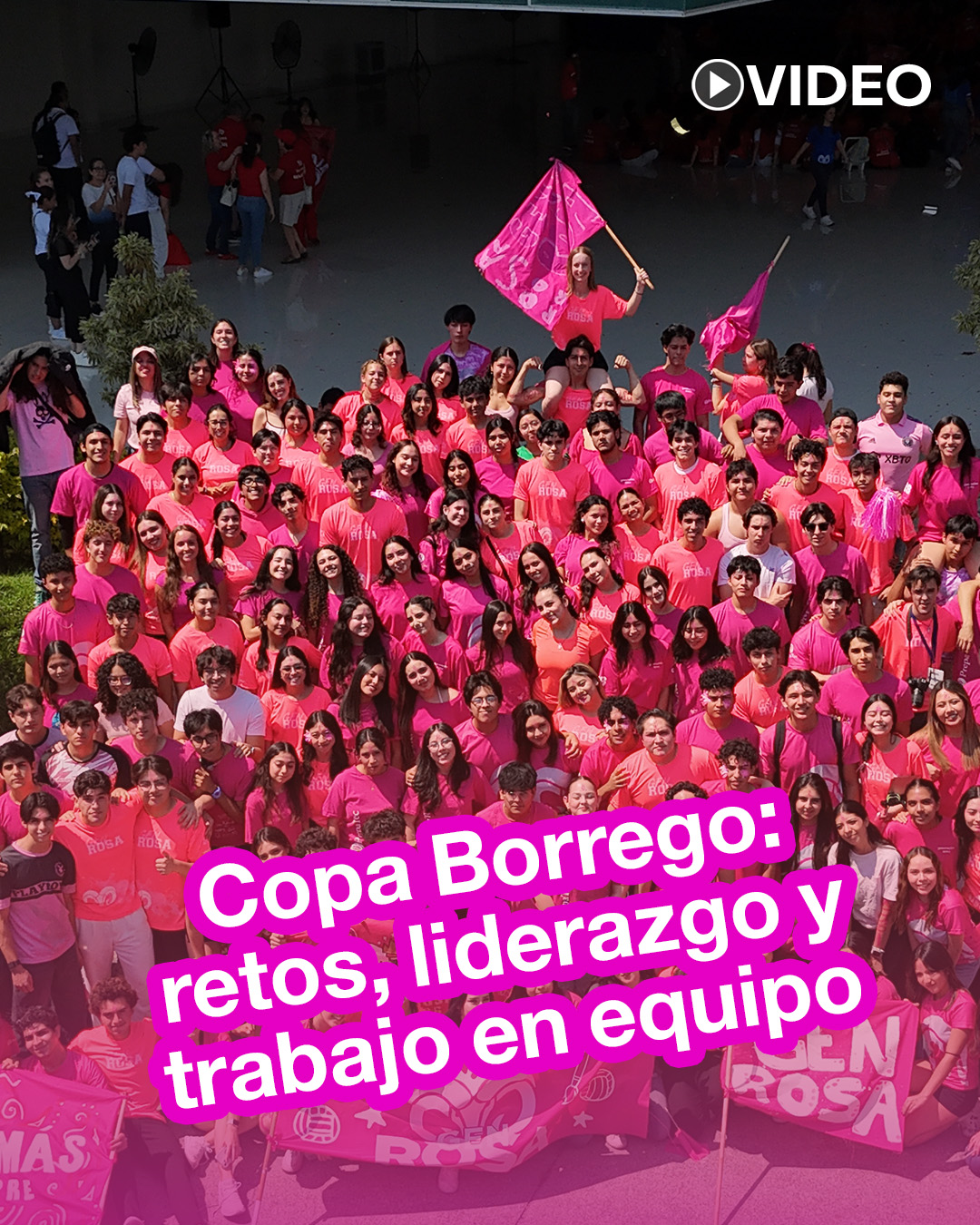 Copa Borrego 2026