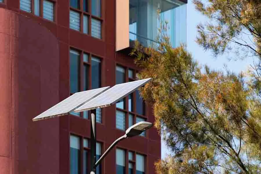 4 prácticas sostenibles de la comunidad del Tec en Santa Fe.