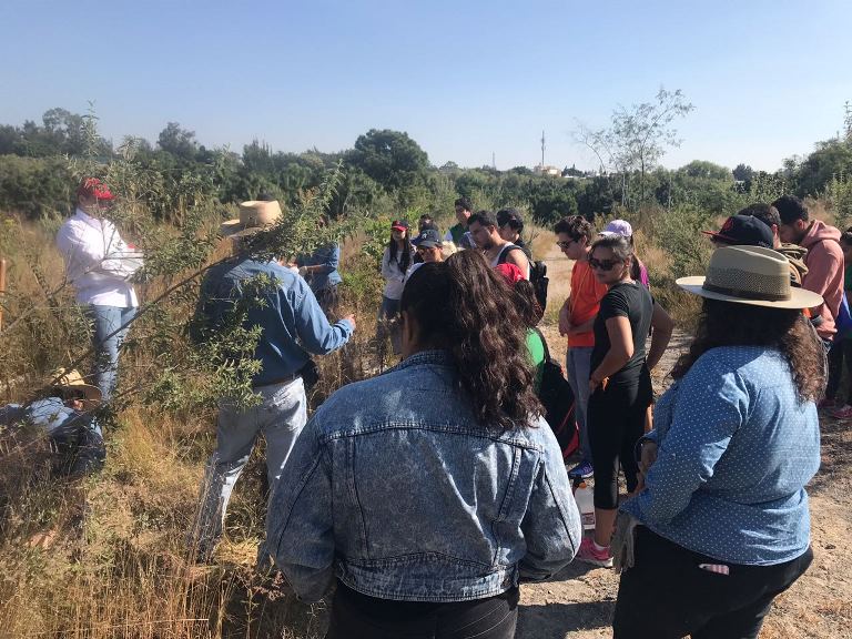 Durante la Green Week se realizaron 7 actividades que buscaron disminuir el impacto antrópico de la región.