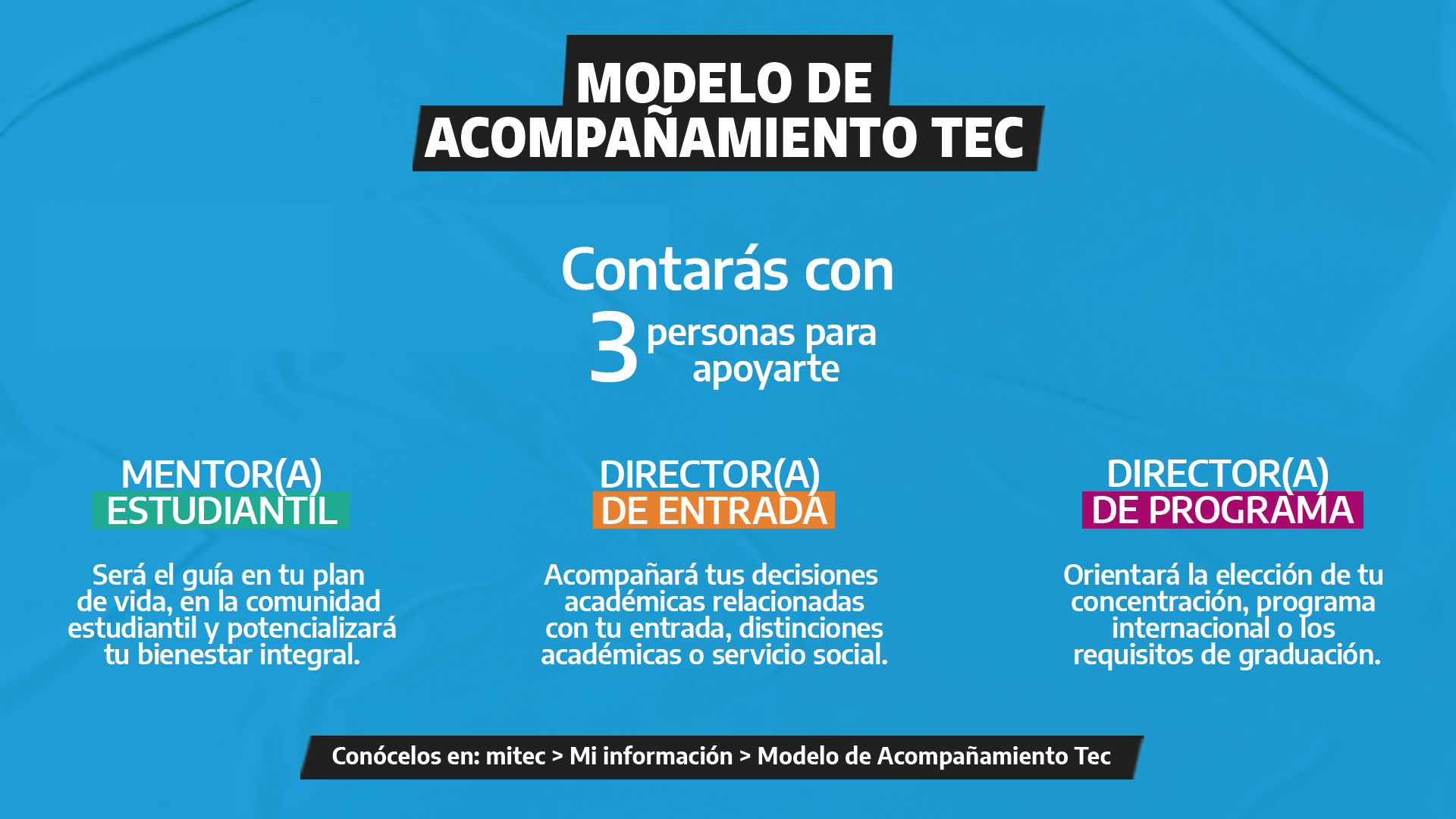 modelo de acompañamiento.