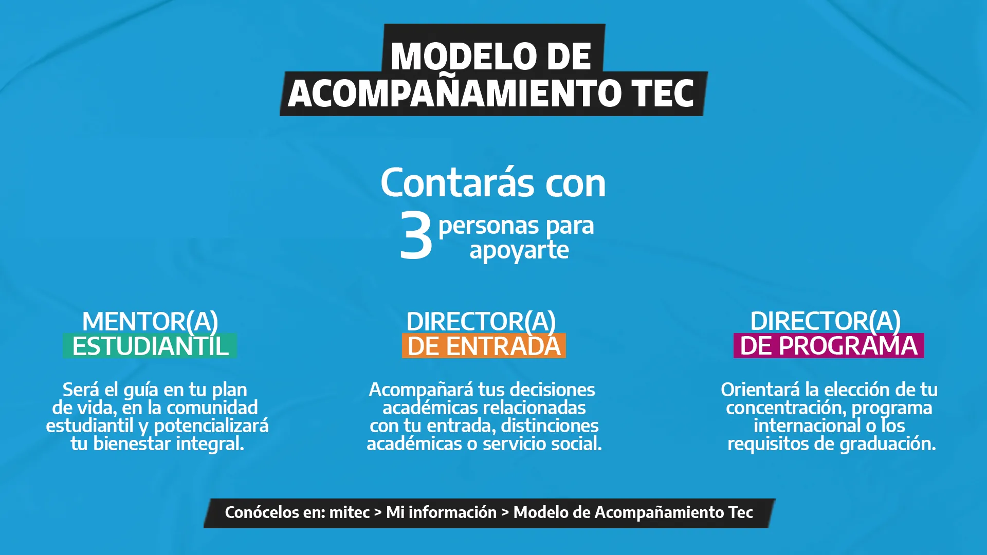 modelo de acompa&ntilde;amiento.