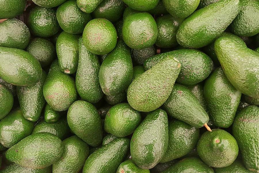 Descubren nuevas propiedades del aguacate.